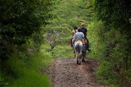 Tourists on horseback in Costa Rican cloud forest Stock Photo - Budget Royalty-Free & Subscription, Code: 400-04215500