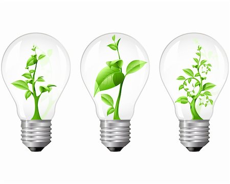 Three light bulbs with green sprout inside Stock Photo - Budget Royalty-Free & Subscription, Code: 400-04215849