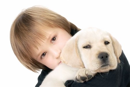 simsearch:400-06758392,k - Young child holding a Labrador retriever puppy Photographie de stock - Aubaine LD & Abonnement, Code: 400-04215896