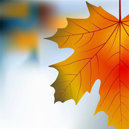 simsearch:400-07255480,k - Red yellow maple autumnal background. EPS 8 vector file included Stock Photo - Budget Royalty-Free & Subscription, Code: 400-04216661