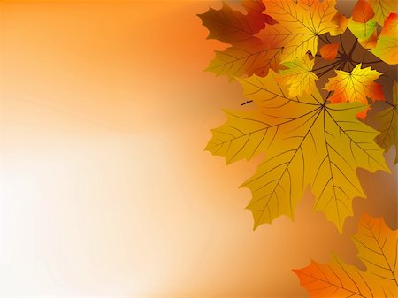 simsearch:400-07036352,k - Autumn leaves, soft shallow focus. EPS 8 vector file included Stockbilder - Microstock & Abonnement, Bildnummer: 400-04216938