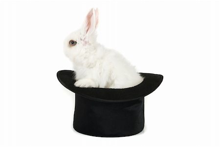 simsearch:400-04322840,k - Little rabbit at magic hat isolated on a white background Foto de stock - Super Valor sin royalties y Suscripción, Código: 400-04216977