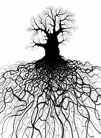 Editable vector illustration of a leafless oak tree with root system Stock Photo - Budget Royalty-Free & Subscription, Code: 400-04217045