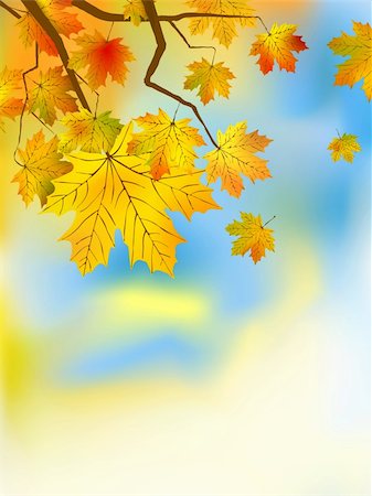 simsearch:400-04382717,k - Autumn leaves background in a sunny day. EPS 8 vector file included Photographie de stock - Aubaine LD & Abonnement, Code: 400-04217102