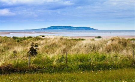grass growing on dunes near the sea; little island is visible in background Stock Photo - Budget Royalty-Free & Subscription, Code: 400-04217292