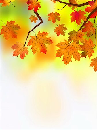 simsearch:400-04385202,k - Autumn leaves, very shallow focus. EPS 8 vector file included Foto de stock - Super Valor sin royalties y Suscripción, Código: 400-04218976