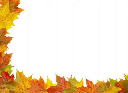 simsearch:400-04360457,k - Frame with colored autumn maple leaves - white background Photographie de stock - Aubaine LD & Abonnement, Code: 400-04219515