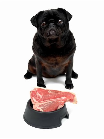 A black Pug and a T Bone steak  isolated against a white background Photographie de stock - Aubaine LD & Abonnement, Code: 400-04219550