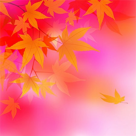 simsearch:400-05363894,k - Autumn leaves background. vector illustration Foto de stock - Super Valor sin royalties y Suscripción, Código: 400-04219637