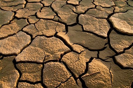 simsearch:400-05292342,k - Cracked by the heat long lifeless soil Stock Photo - Budget Royalty-Free & Subscription, Code: 400-04210010