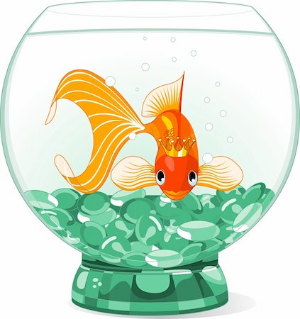 freshwater fish vector - Illustration of a happy beautiful goldfish with tiara in the aquarium Stock Photo - Budget Royalty-Free & Subscription, Code: 400-04210728