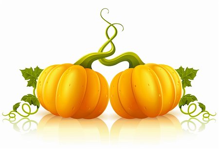 two orange pumpkins with green leaves vector illustration, isolated on white background Stock Photo - Budget Royalty-Free & Subscription, Code: 400-04211636