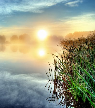 foggy morning at the lake Stock Photo - Budget Royalty-Free & Subscription, Code: 400-04211684