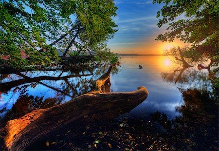 simsearch:400-04634653,k - sunrise at the lake with old trees lying out in the water Fotografie stock - Microstock e Abbonamento, Codice: 400-04211757
