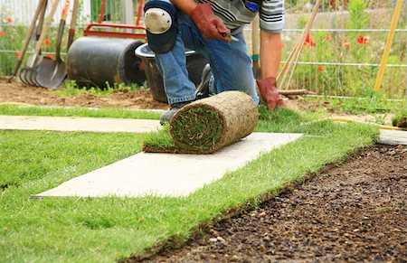 simsearch:400-08074641,k - Man laying sod for new garden lawn Stock Photo - Budget Royalty-Free & Subscription, Code: 400-04212214