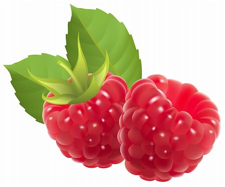 photo realistic raspberry vector illustration Photographie de stock - Aubaine LD & Abonnement, Code: 400-04213286