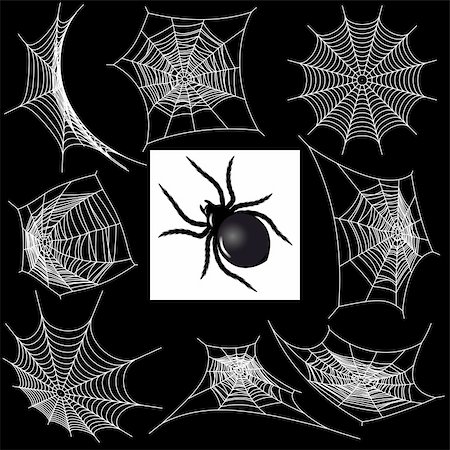 Set with a spider's webs and spider Stock Photo - Budget Royalty-Free & Subscription, Code: 400-04213654