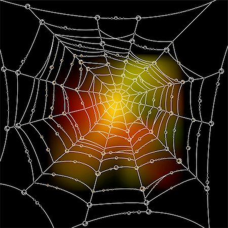 simsearch:400-08200203,k - Autumn background with a spider's web Foto de stock - Royalty-Free Super Valor e Assinatura, Número: 400-04213653