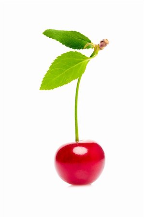 simsearch:400-04859130,k - Isolated cherry Photographie de stock - Aubaine LD & Abonnement, Code: 400-04213730