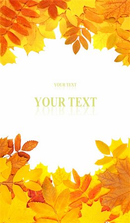 simsearch:400-04609388,k - Decorative frame from bright autumn leaves Stock Photo - Budget Royalty-Free & Subscription, Code: 400-04213749