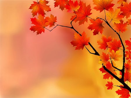 Autumn leaves, very shallow focus. EPS 8 vector file included Stock Photo - Budget Royalty-Free & Subscription, Code: 400-04224129