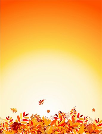 Autumn leaves background for your design Stock Photo - Budget Royalty-Free & Subscription, Code: 400-04224736