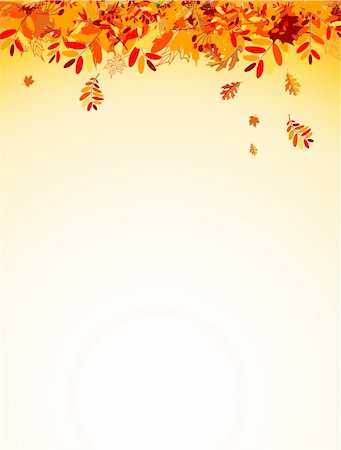 Autumn leaves background for your design Stock Photo - Budget Royalty-Free & Subscription, Code: 400-04224739