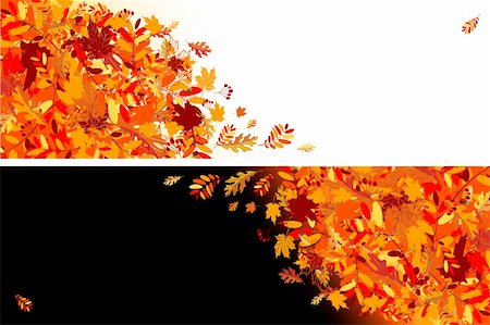 Autumn leaves banners for your design Stock Photo - Budget Royalty-Free & Subscription, Code: 400-04224749