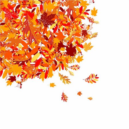 Autumn leaves background for your design Stock Photo - Budget Royalty-Free & Subscription, Code: 400-04224752