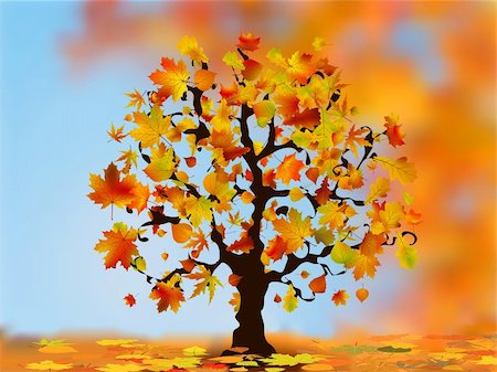 Beautiful autumn tree for your design. EPS 8 vector file included Photographie de stock - Aubaine LD & Abonnement, Code: 400-04224908