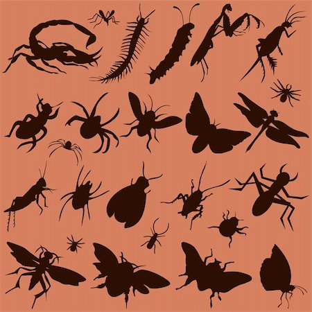 poux - vector set of various bugs Photographie de stock - Aubaine LD & Abonnement, Code: 400-04225456