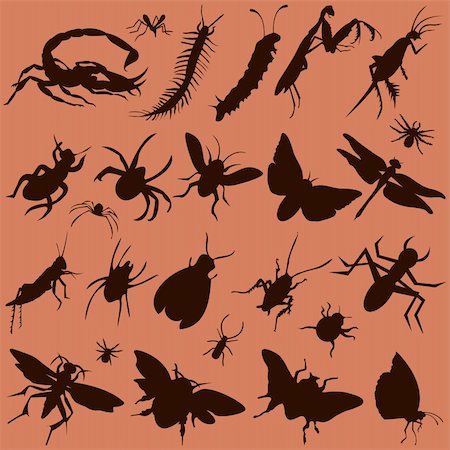 vector set of various bugs Stock Photo - Budget Royalty-Free & Subscription, Code: 400-04225456