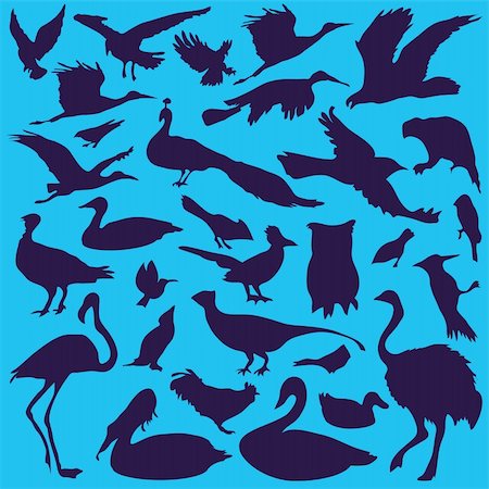 flamingo vector - vector set of various birds Stock Photo - Budget Royalty-Free & Subscription, Code: 400-04225457