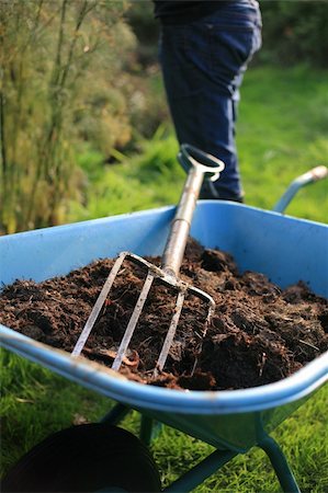 Organic Gardener with wheelbarrow and pitchfork Stockbilder - Microstock & Abonnement, Bildnummer: 400-04225710