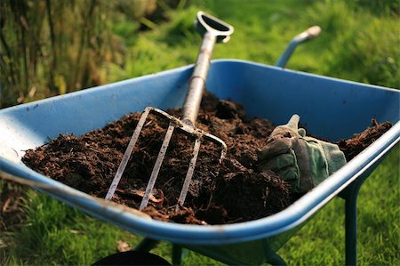 Organic Gardener with wheelbarrow and pitchfork Stock Photo - Budget Royalty-Free & Subscription, Code: 400-04225711