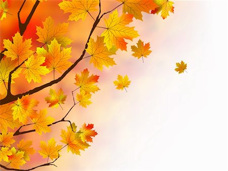 Warm colors of Autumn. EPS 8 vector file included Stock Photo - Budget Royalty-Free & Subscription, Code: 400-04225745