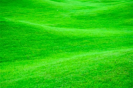 simsearch:400-03945601,k - Hilly field of bright green grass Stock Photo - Budget Royalty-Free & Subscription, Code: 400-04225769