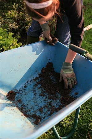 Organic Gardener with wheelbarrow and compost tending the garden Photographie de stock - Aubaine LD & Abonnement, Code: 400-04225785