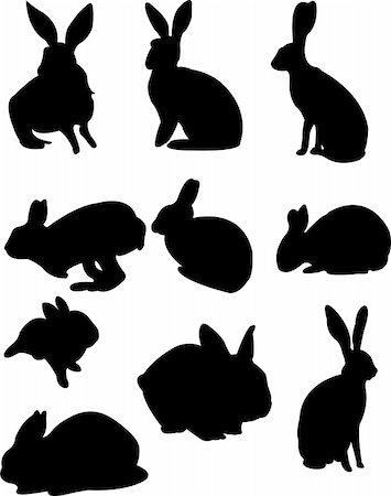 paunovic (artist) - collection of rabbits - vector Stockbilder - Microstock & Abonnement, Bildnummer: 400-04225813