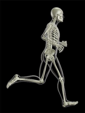 simsearch:400-04280645,k - 3D render of a medical skeleton in a running pose Photographie de stock - Aubaine LD & Abonnement, Code: 400-04226523