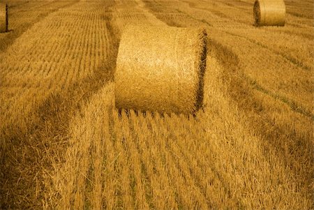 simsearch:400-06201047,k - Hay bale on  ayellown field in late summer Stock Photo - Budget Royalty-Free & Subscription, Code: 400-04226726