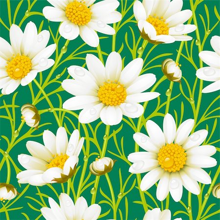 denis13 (artist) - Camomile seamless background Stock Photo - Budget Royalty-Free & Subscription, Code: 400-04226914