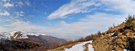 forest path panorama - Firs snow on mountain ridge panorama Stock Photo - Budget Royalty-Free & Subscription, Code: 400-04227349