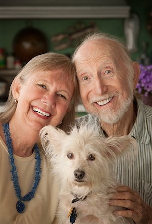 senior couple with pet - Senior couple with cute white dog Stock Photo - Budget Royalty-Free & Subscription, Code: 400-04227842