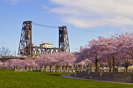 Steel Bridge at Spring Time in Portland Oregon Foto de stock - Super Valor sin royalties y Suscripción, Código: 400-04228357