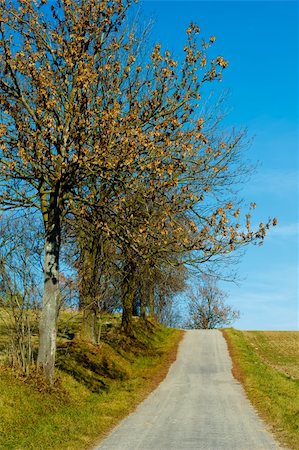 simsearch:400-05062341,k - Road in the autumn with yellow trees Foto de stock - Royalty-Free Super Valor e Assinatura, Número: 400-04228446