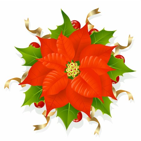 Christmas flower, holly and golden ribbons Stockbilder - Microstock & Abonnement, Bildnummer: 400-04228461