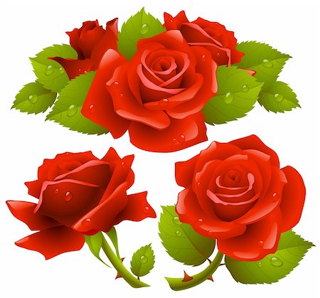 denis13 (artist) - Red roses set Stock Photo - Budget Royalty-Free & Subscription, Code: 400-04228798