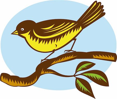 fantail - illustration of a New Zealand fantail bird on a branch done in retro woodcut style Stock Photo - Budget Royalty-Free & Subscription, Code: 400-04229229