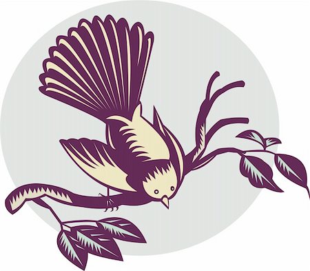 fantail - illustration of a New Zealand fantail bird on a branch done in retro woodcut style. Stock Photo - Budget Royalty-Free & Subscription, Code: 400-04229230